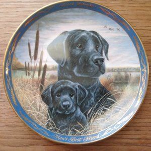 Stunning Franklin Mint Black Labrador Retriever Collector Plate!